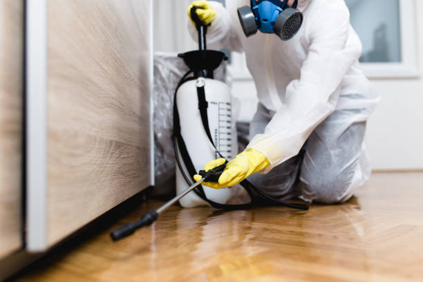 Best Affordable Pest Control Services  in Chase City, VA