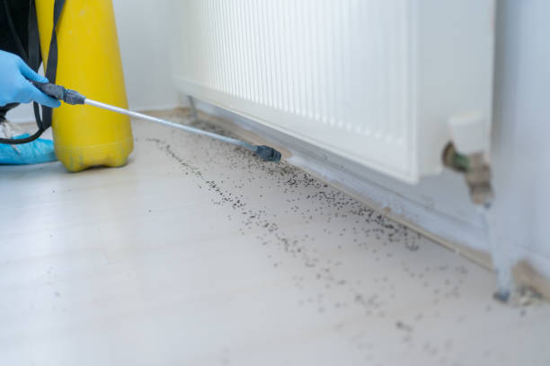 Best Cockroach Control Services  in Chase City, VA