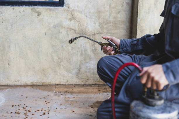 Best Best Pest Control Companies  in Chase City, VA